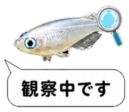 851499239