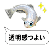 851499247