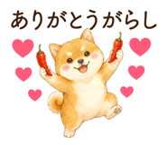 851499949