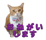 851502206