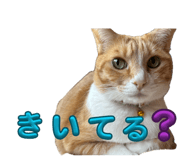 851502208