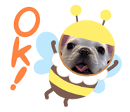 851508998