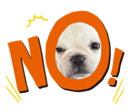 851509003
