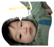 851511488