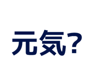851516205