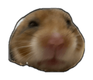 851516824