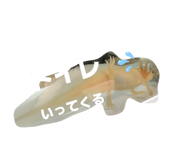 851516843