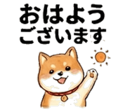 851521650