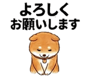851521653