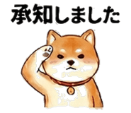 851521655