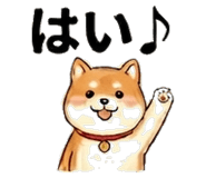 851521656