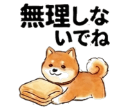 851521666