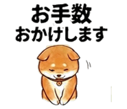 851521668