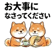 851521673