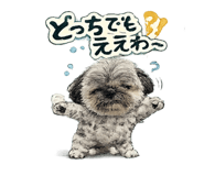 851535818