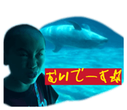851535987