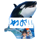 851535991