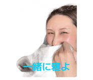 851537038