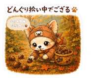 851538030