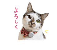 851538755