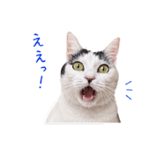 851538765