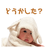 851538782