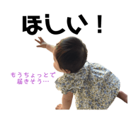 851538813