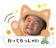 851538994
