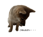 851540697