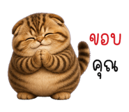851543013
