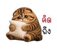 851543018