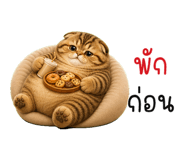 851543037