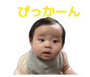 851549044