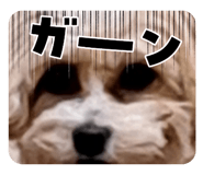 851549135