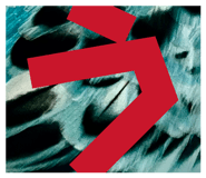 851553876