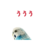 851553878