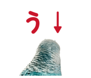 851553880
