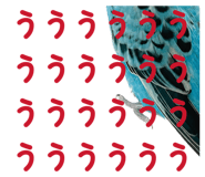 851553881