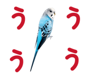 851553886