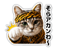 851554653