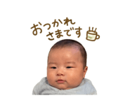 851555177