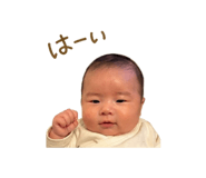 851555183