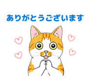 851555652