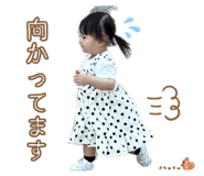 851555815