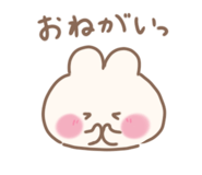 851555914