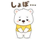 851555961