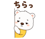 851555977