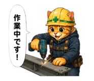 851556118