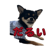 851556514