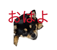 851556518